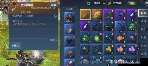 揭秘游戏乐趣之源，探索生猴子秘密宝箱，解锁全新游戏体验的钥匙