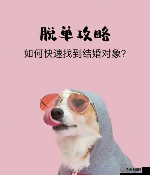 同是天涯沦落狗，口水封神揭秘快速脱单在资源管理中的关键性策略