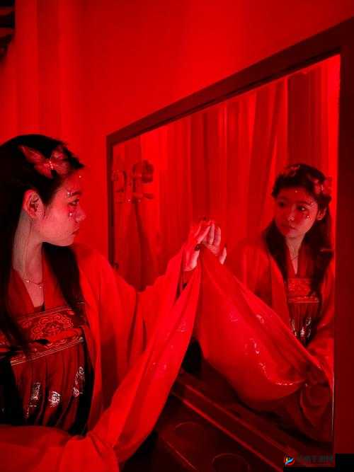 日荡妇怡红院：探寻那独特的神秘之地