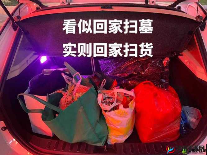 小扫货水能么多公交车：带你领略城市出行的独特魅力