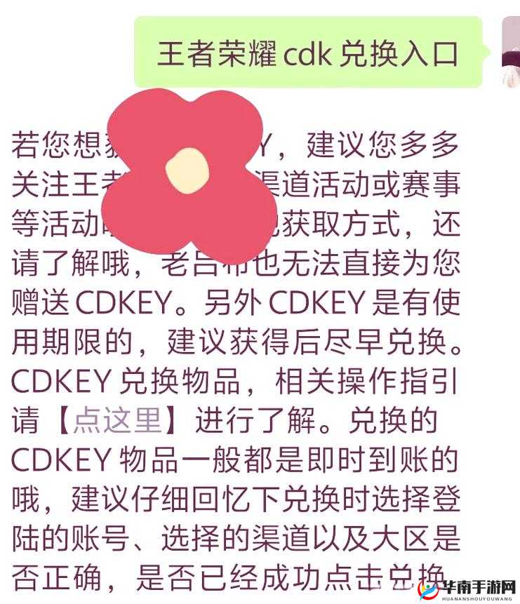 王者荣耀CDK兑换页面详细指南及CDK兑换步骤全面解析