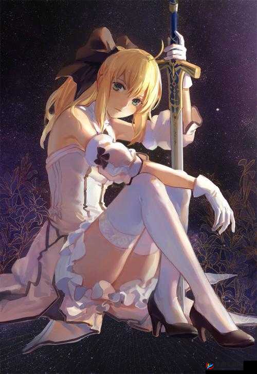探索FGO中Saber Lily的独特魅力，光炮型英灵的技能与战斗风采