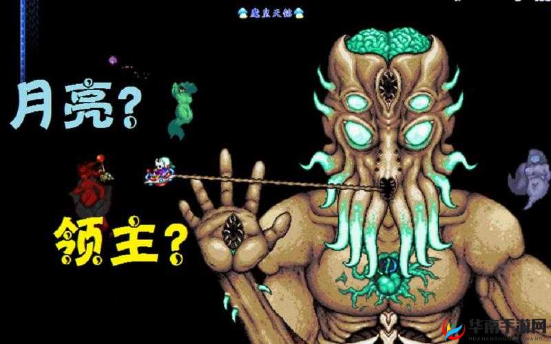泰拉瑞亚霜雪舞者，展现速度与激情的极致游戏角色演绎
