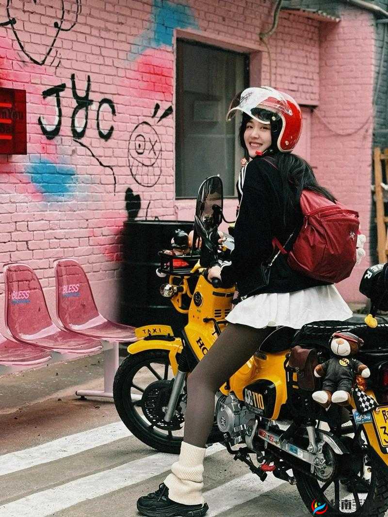 肉肉的小黄车：带你穿梭城市街头的独特伙伴