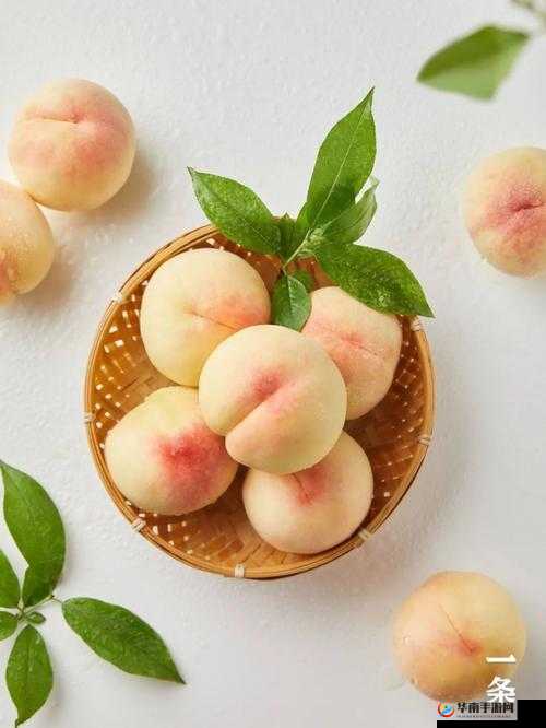 美丽的水蜜桃 2 经典之语：那一抹独特的甜美芬芳