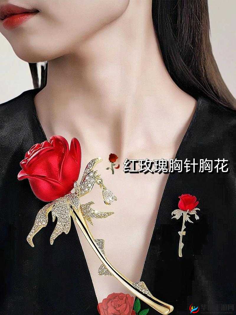 猎魔通缉令中的战斗瑰宝，五星首饰玫瑰胸针，璀璨星光下彰显非凡魅力