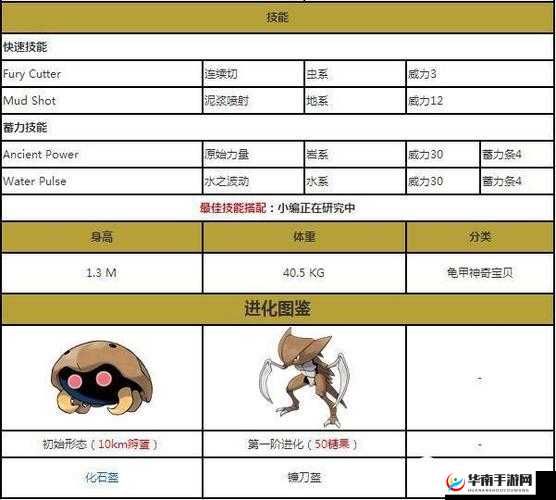 口袋妖怪复刻，深入剖析太古盔甲属性与资源管理策略的艺术