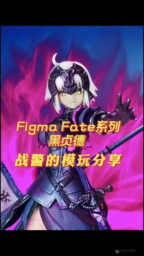 命运冠位指定FGO狂X毛队友测试，揭秘黑贞德在资源管理中的核心搭配策略