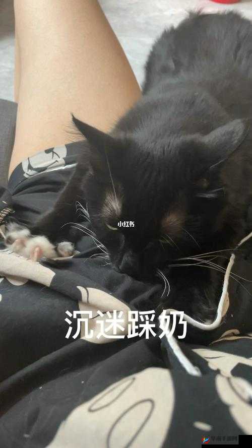 嗟嗟嗟嗟嗟嗟好痛这到底是怎么了？
