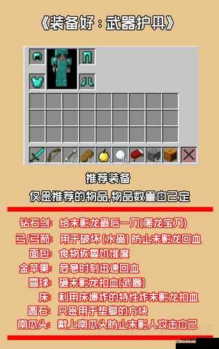 我的世界末影龙挑战攻略，高效打法技巧与心得全面分享
