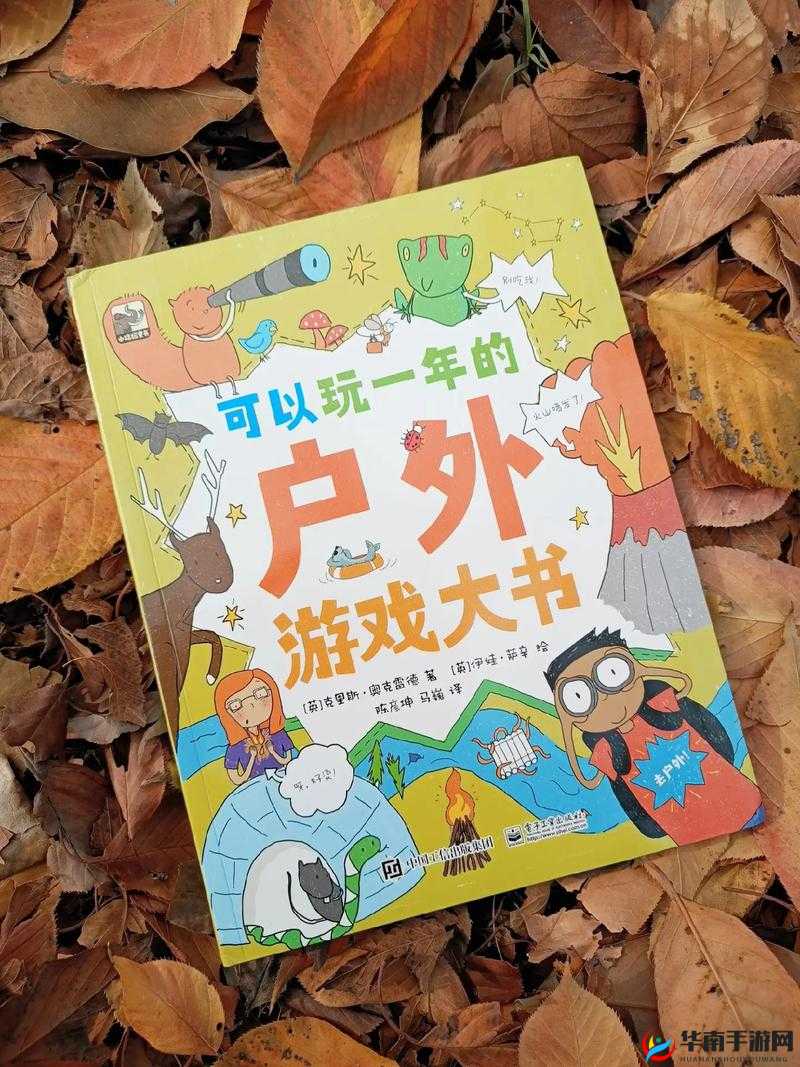 解锁冒险与宝藏，探险家必备的制胜秘籍与实用技巧指南