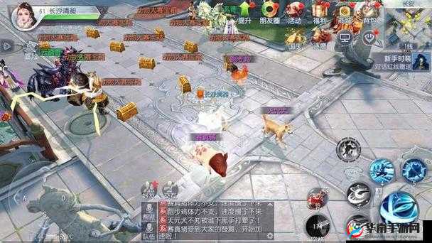 大唐无双手游深度解析，樊梨花输出武将属性与资源管理策略艺术