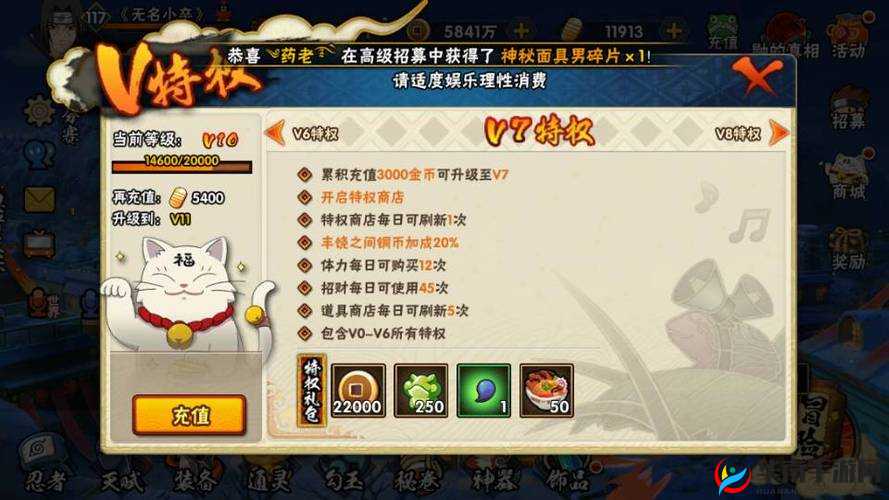 火影忍者手游深度解析，VIP等级差异下的多样化玩法指南