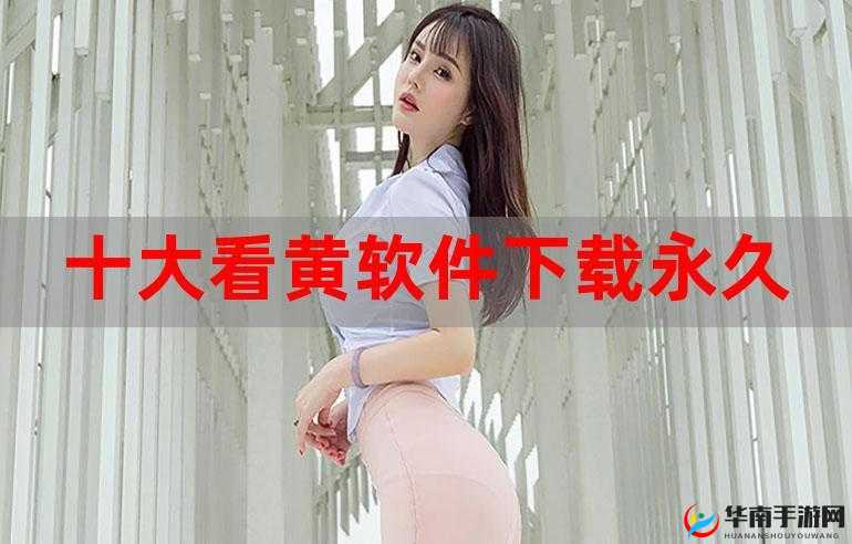 永久看黄软件：畅享无尽资源的便捷通道