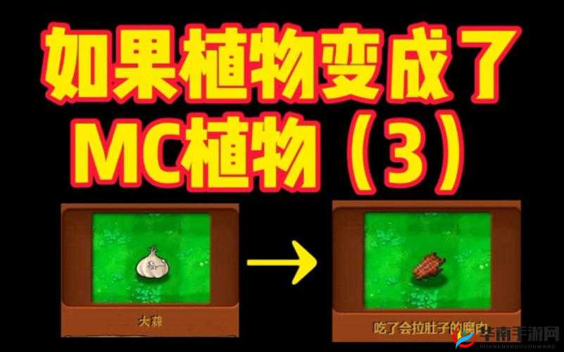 我的世界，揭秘高效植物耕种策略，打造丰收乐园的必备秘籍