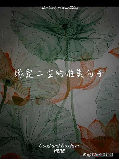 绝世爱恋的永恒颂歌，穿越时空深情守候，解析三生三世十里桃花