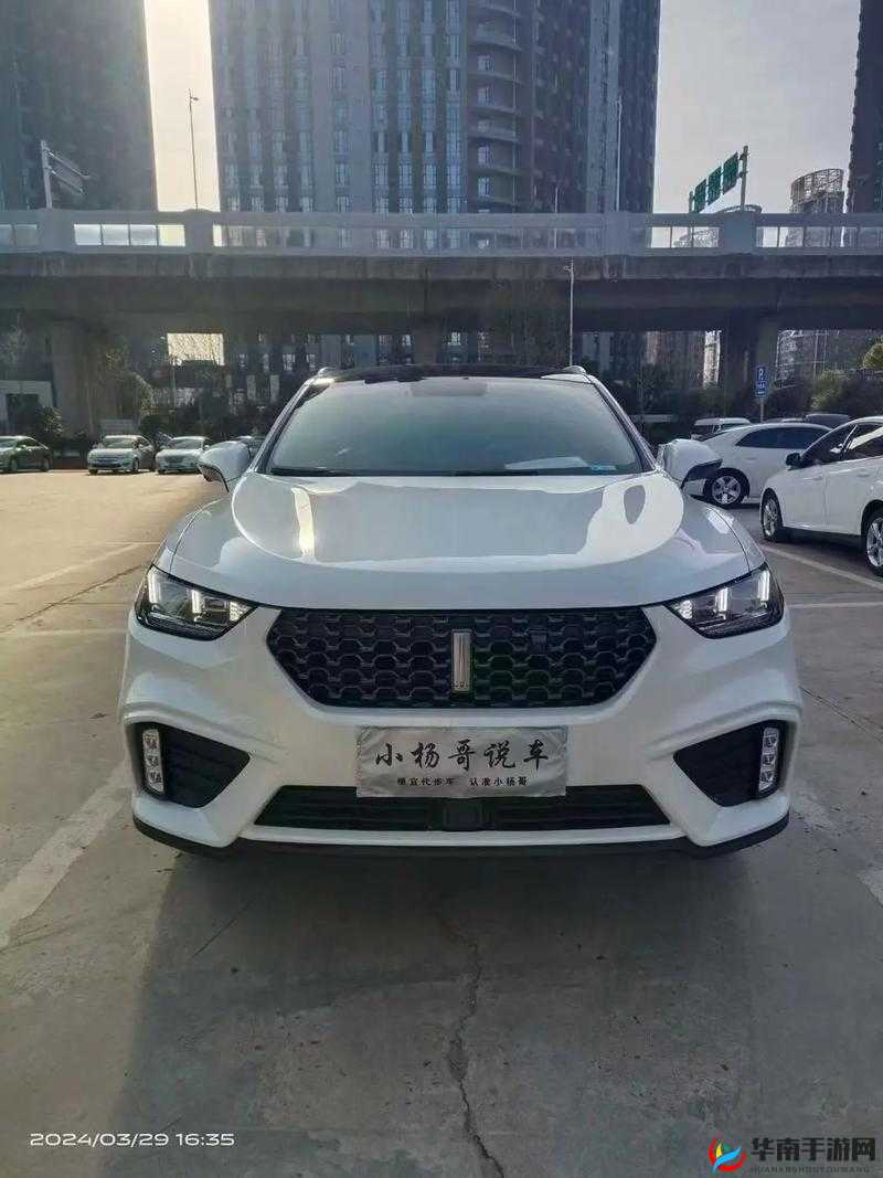 WEYVV5 国产的 SUV 视频：展现国产汽车的卓越魅力与强大性能