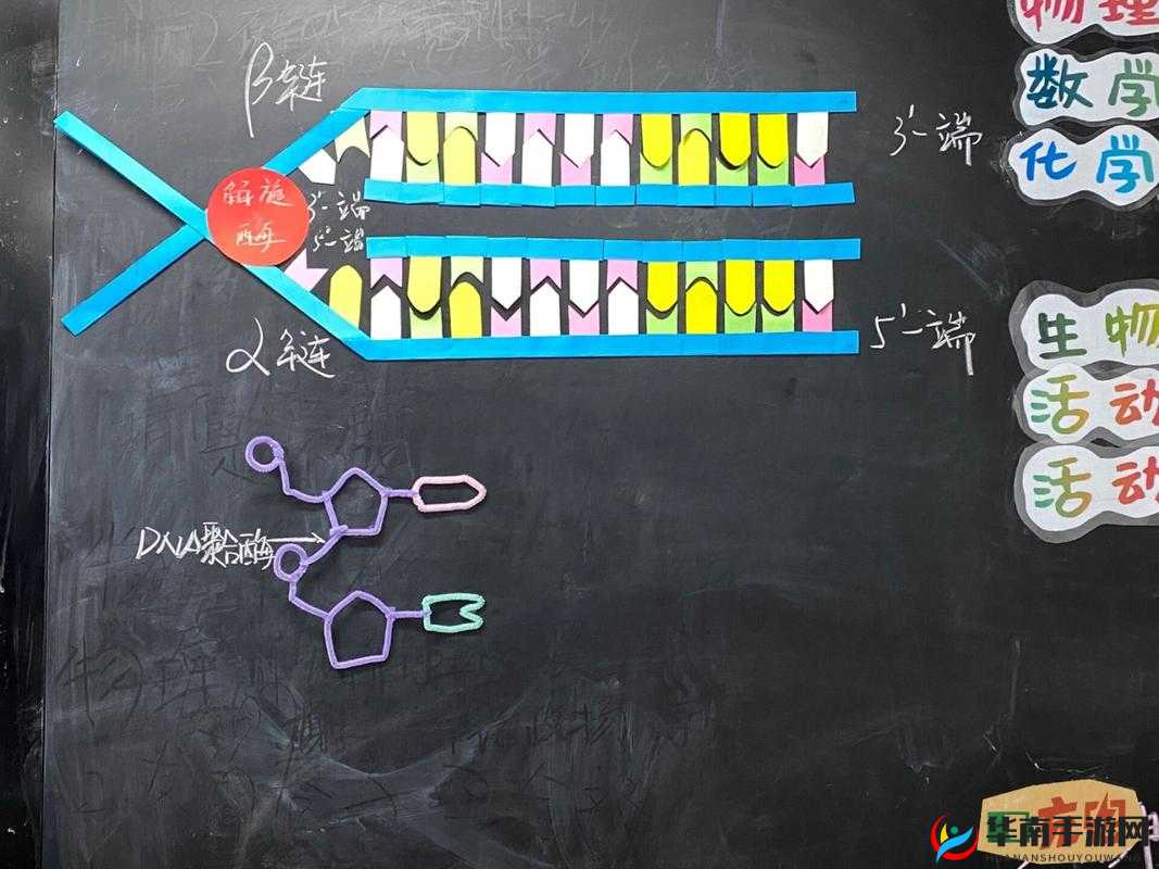 我成了生物课的教具：一段令人惊奇的校园经历