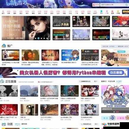 b站推广网站 2024mmm：一个值得你关注的精彩平台