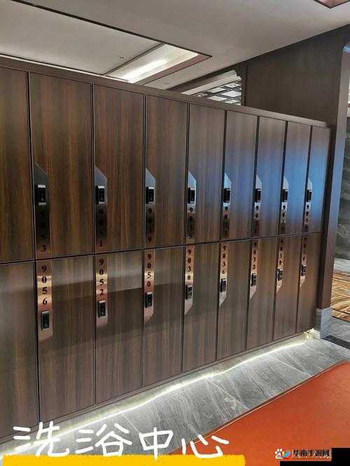 健身房浴室更衣柜：关于其使用注意事项及管理方法探讨