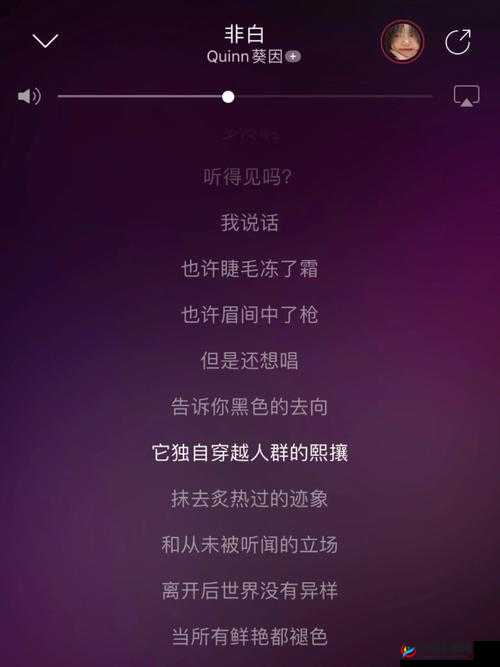欧美啦啦啦啦啦啦啦什么歌：探寻其独特魅力与背后故事