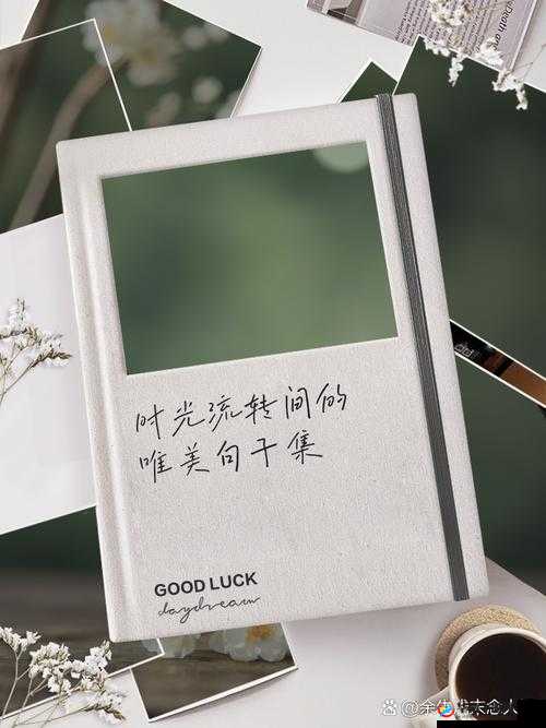 如果一生只有三十岁：探寻短暂时光中的无尽可能