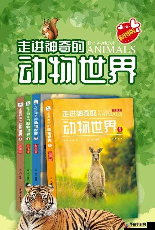 美国ZOOM 动物仙踪林介绍：带你走进神奇的动物世界