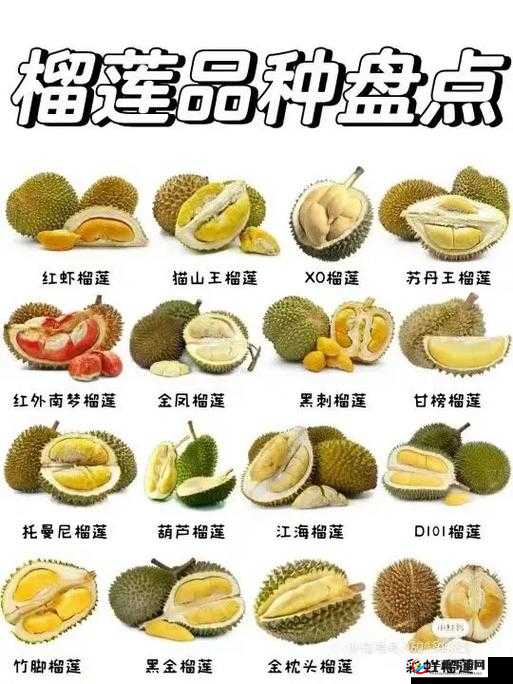 向日葵秋葵草莓榴莲香蕉茄子众多优质内容都享超清覆盖-网友：高清画质，精彩内容等你来发现