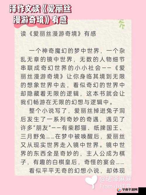爱丽丝的古堡探险，在不思议迷宫中开启一段奇幻而神秘的旅程
