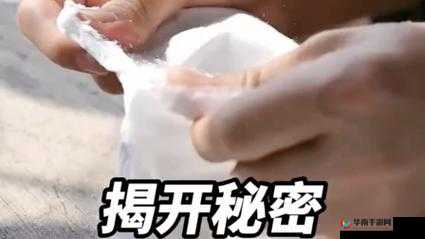 探索 WWWXXXXX 背后的秘密：揭开未知的面纱