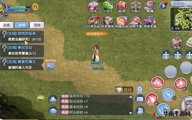 仙境传说RO手游深度解析，揭秘侠盗之衣的获取途径与攻略