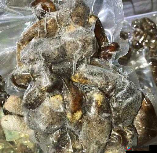 蘑菇黑料大揭秘：深入揭露其不为人知的一面