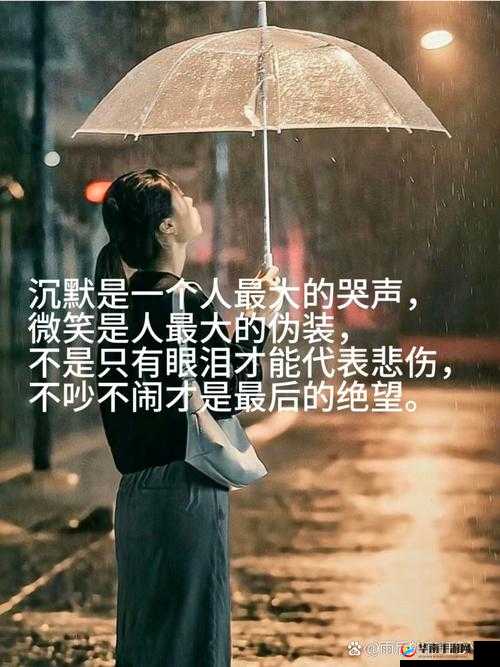 离异 D 奶的情感世界与生活经历探寻：一个人的精彩旅程