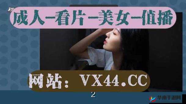 WINDOWSCHANNEL 视频拍摄秘籍：揭秘专业级拍摄技巧