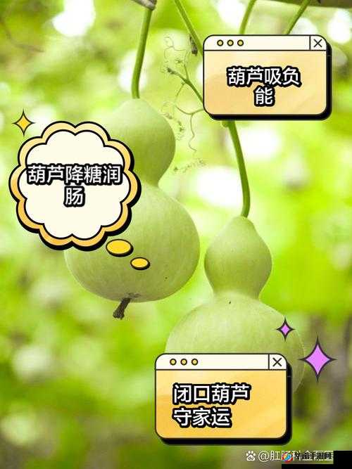 千万影片你需要葫芦：带来视觉盛宴的神奇存在