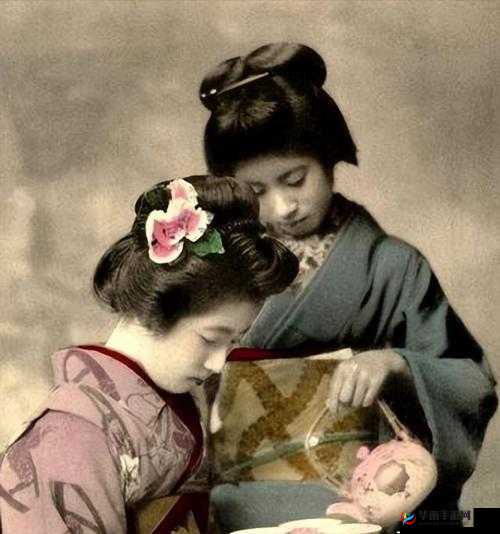 古代公子与花魁的情感纠葛：插花弄玉