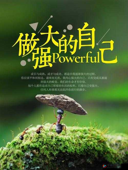 30 分钟激励短片视频素材：激发无限潜能的心灵之旅