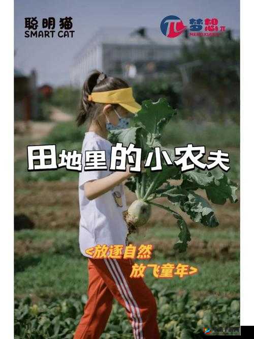儿妈妈一亩田地：讲述关于这片田地的故事与情怀