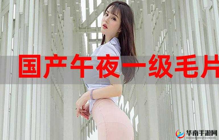 免费国产一级特黄 aa 大：成人影片中的经典之作