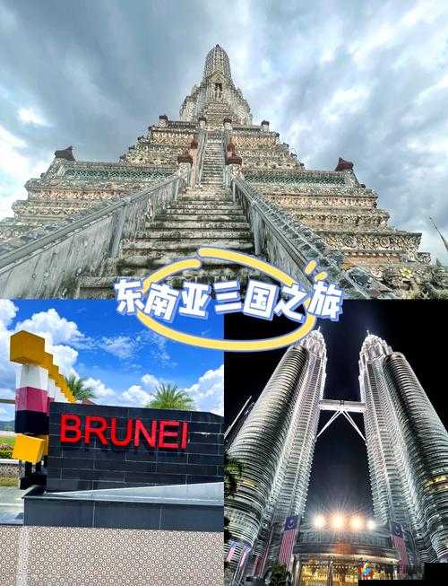 探索仙踪林特黄AAAAA 片背后的神秘世界