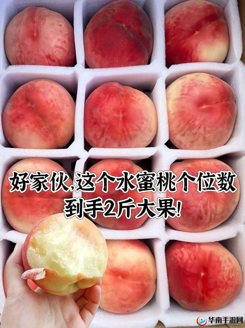 美国的水蜜桃 3：多汁甜美，口感绝佳的水果