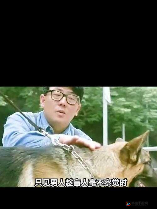 男人与导盲犬的感人故事：爱与信任的力量