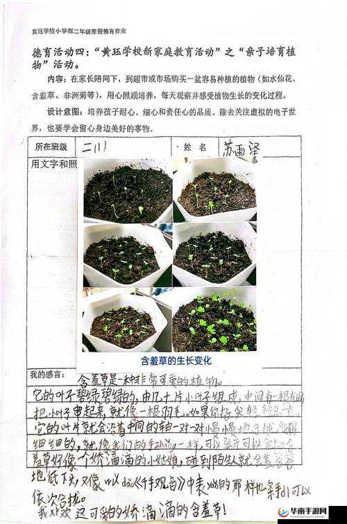 成长的秘密毛毛葆葆观察记录：关于它们成长过程的详细记录