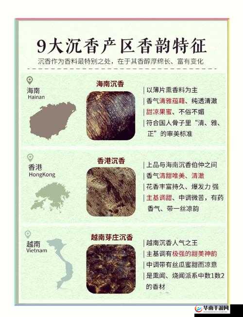 沉香的一线产区：探秘其独特魅力与珍稀价值所在