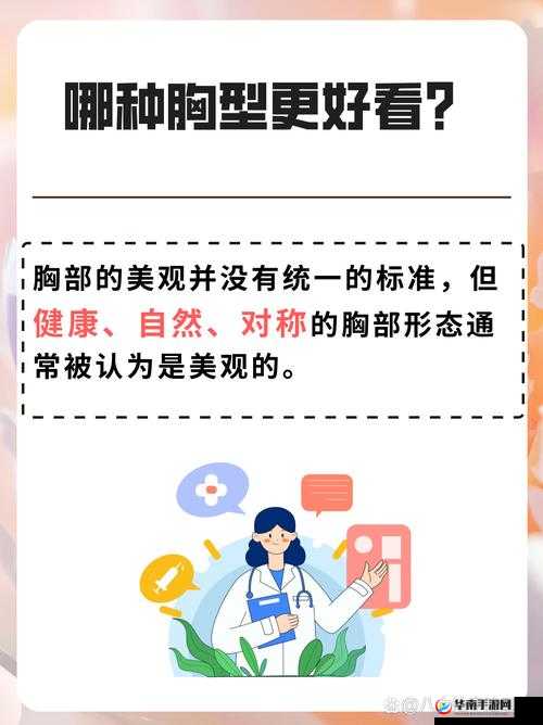 女生小底座的胸好看还是大底座：胸部之美的不同视角探讨