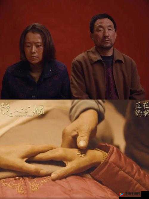 一起观看的纪录片：适合夫妻的深度之选