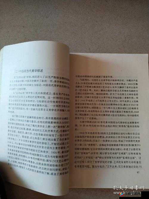 正反两个 B：关于它们的深入探讨与全面分析