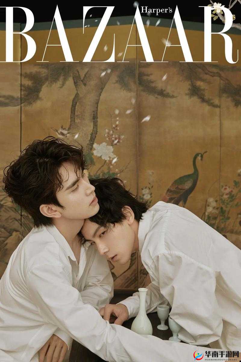 双男主真人素材视频之他们的精彩故事与独特羁绊
