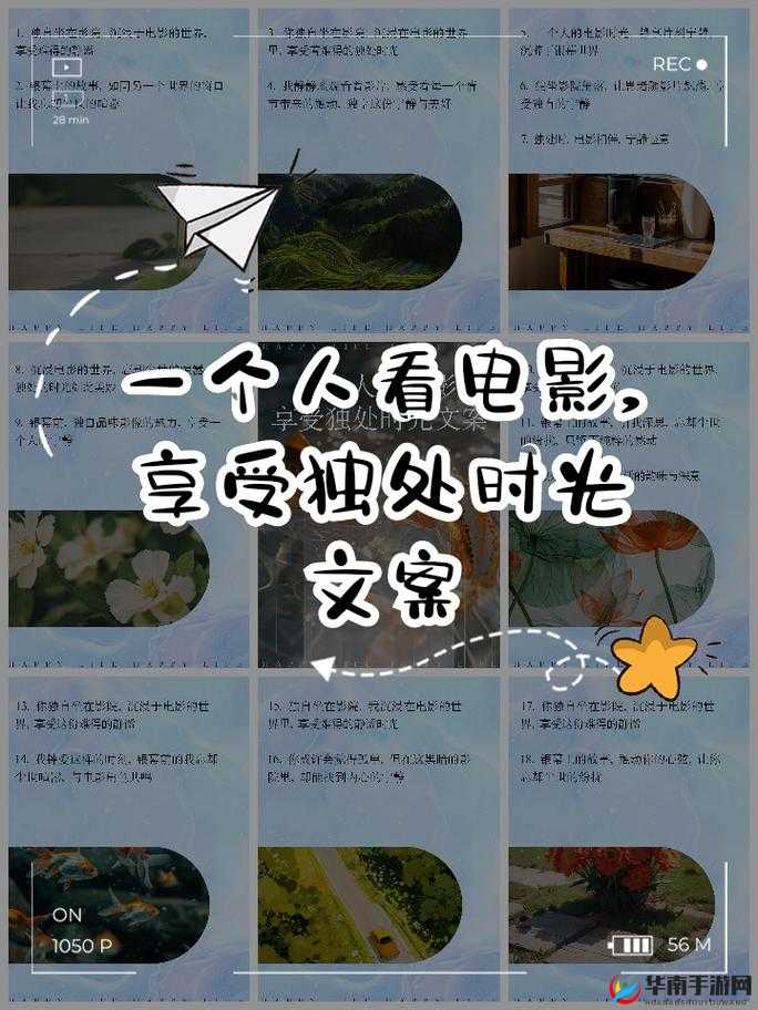 享受完整的观影时光：一场别样的视觉盛宴