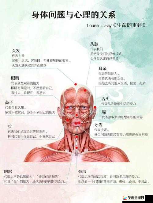 探索成人久操背后的奥秘：生理、心理与健康的关系